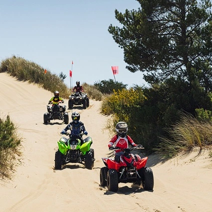 A group of riders on ATVs coming down the side of a dune with foliage on it